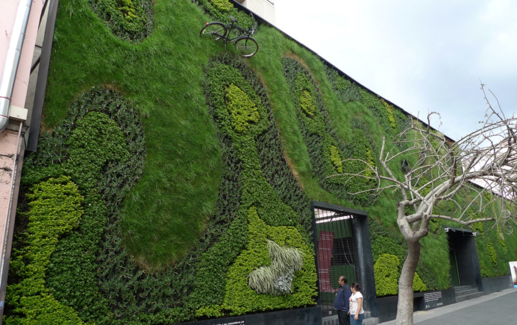 greenery wall