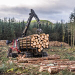 Why Sustainable Timber Matters The Benefits of Choosing Doors from Well-Managed Forests
